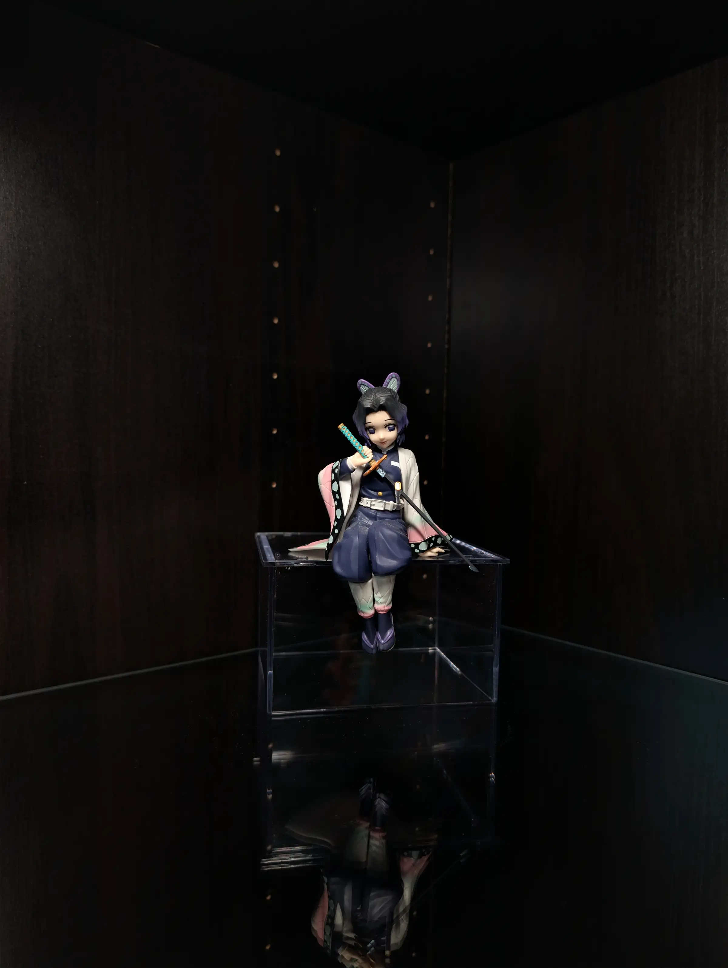 Image of figure Shinobu - Noodle Stopper